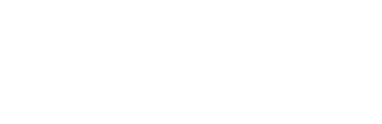 Logo-Duvel-properties blanco